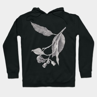 Eucalyptus tree branch with gum nuts - graphite drawing Hoodie